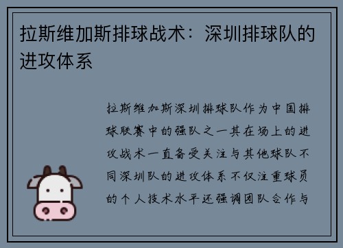拉斯维加斯排球战术：深圳排球队的进攻体系